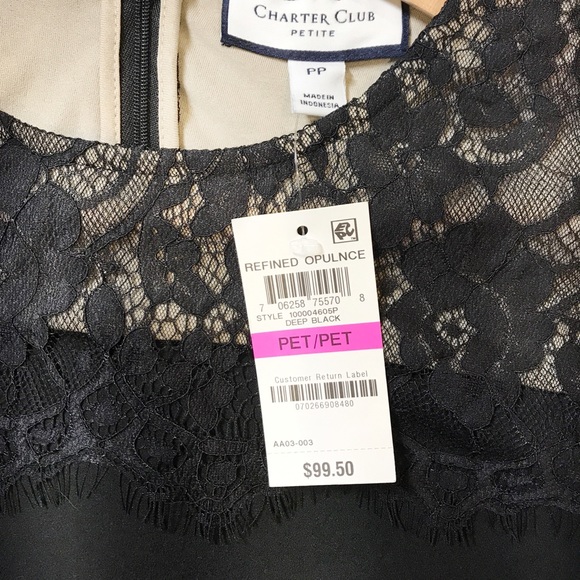 Charter Club Petite Lace-Yoke Fit & Flare Dress - Picture 3 of 8